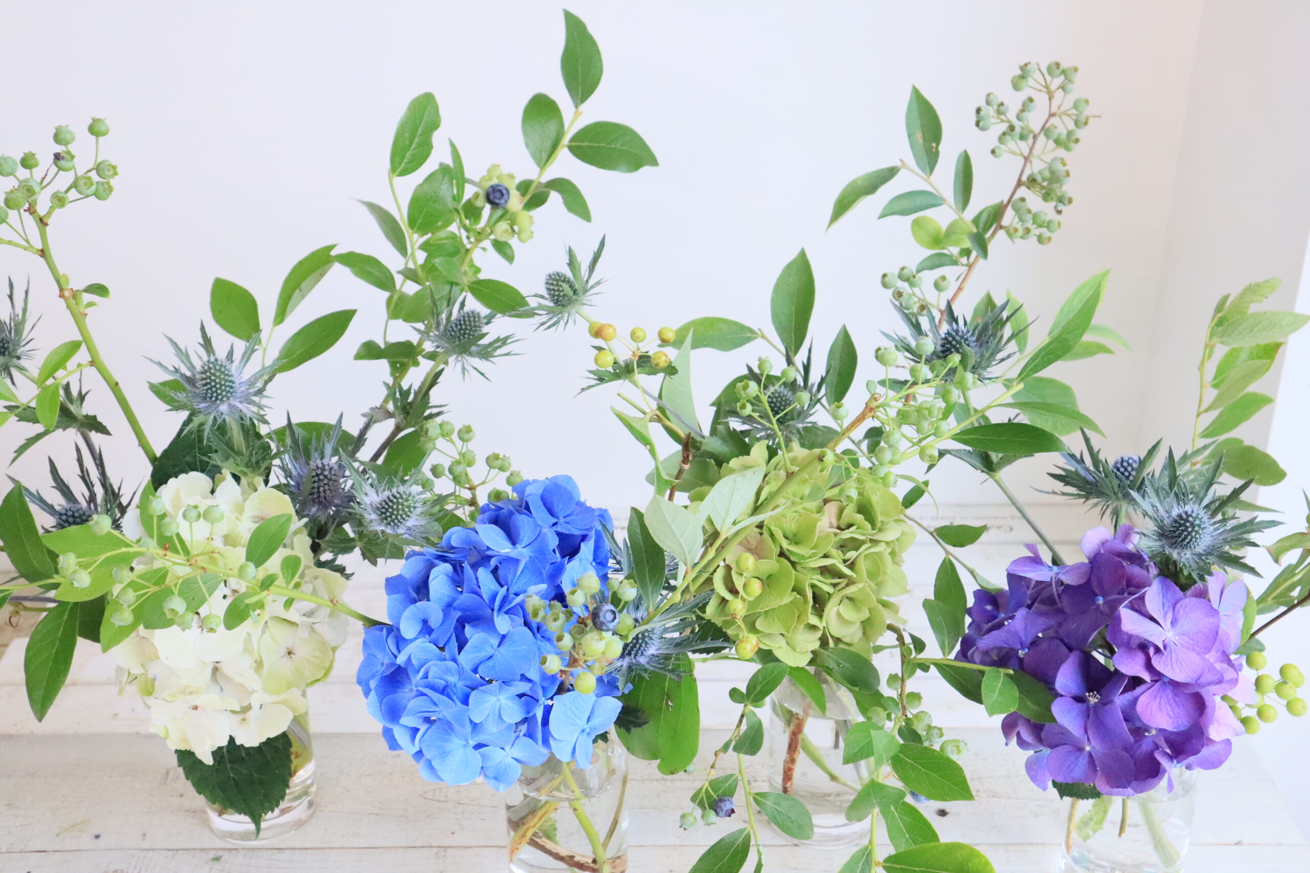 はなどんやアソシエ - 日本最大級の花材問屋通販サイト